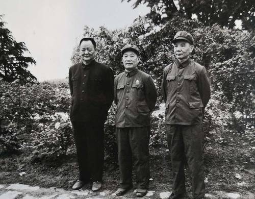 他是二野大秀才,抗战时从清华肆业参军,后被授少将,结局很惋惜_李震