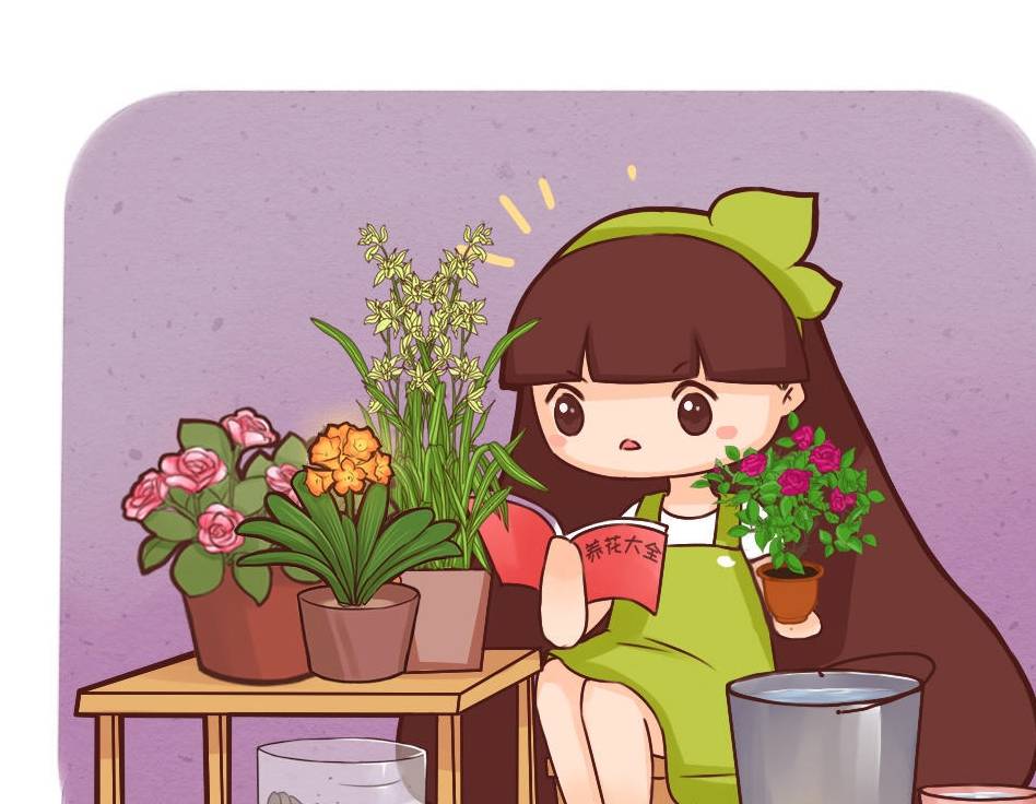 原创如何从外表判断土壤的干湿程度三步让你知道植物是否需要水