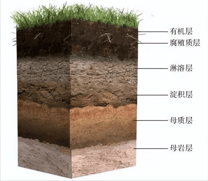 原创新研究称我国东北黑土地是风吹来的源头很遥远形成过程长达65万年