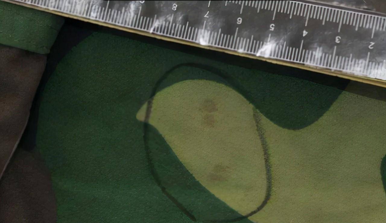 原创2008年吉林一男子被害警方根据其姐姐的梦境找到埋尸地破案