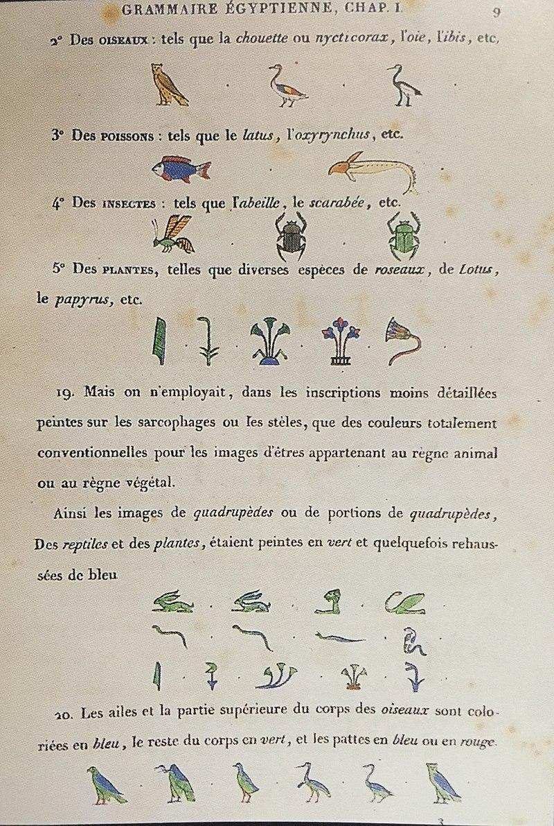 商博良:破译罗塞塔石碑(7个事实)