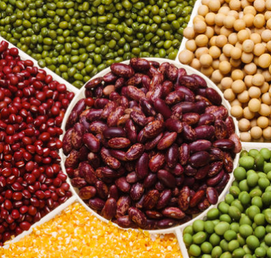 大豆_蛋白质_营养