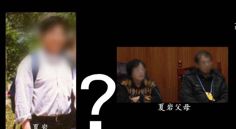 儿子去世6年,婆婆3次将儿媳告上法庭,法庭上意外揭露儿子秘密_陈林告