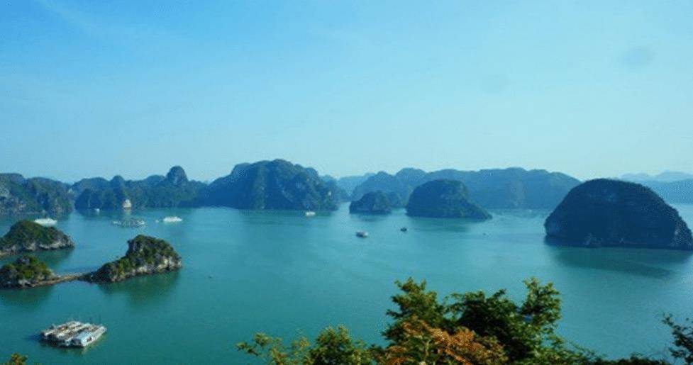 精通汉语的胡志明,何以执意要废除中文?隐情让当下越南自食其果_汉字_