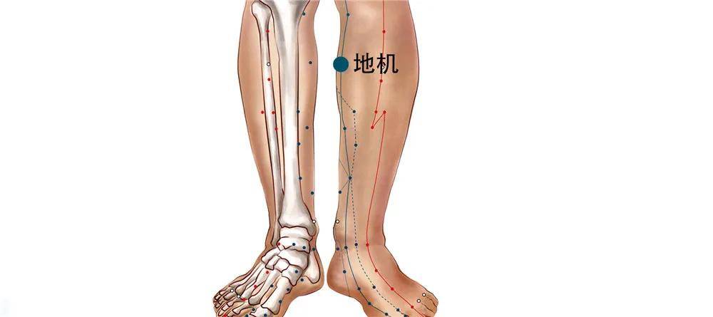 春天揉脾经能揉掉很多慢性病为健康打下好基础