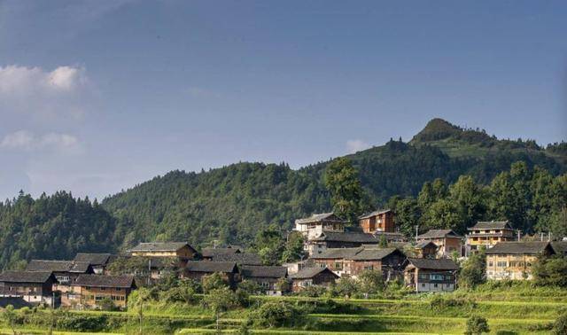 "夺命寡妇村":村中壮年男人接连离奇死亡,专家揭开神秘面纱_塘村_事情