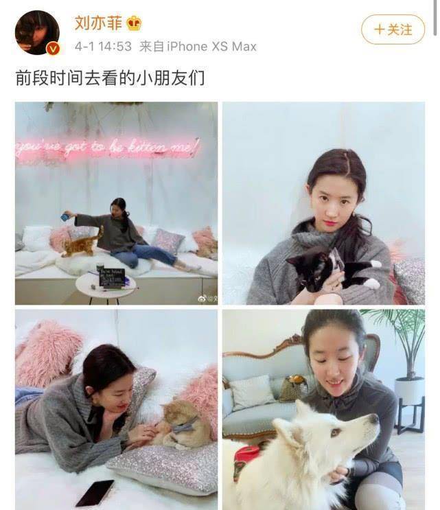 原创刘亦菲自信晒素颜照翻车像大妈露出招牌笑容牙齿凹陷秀宠物是为了