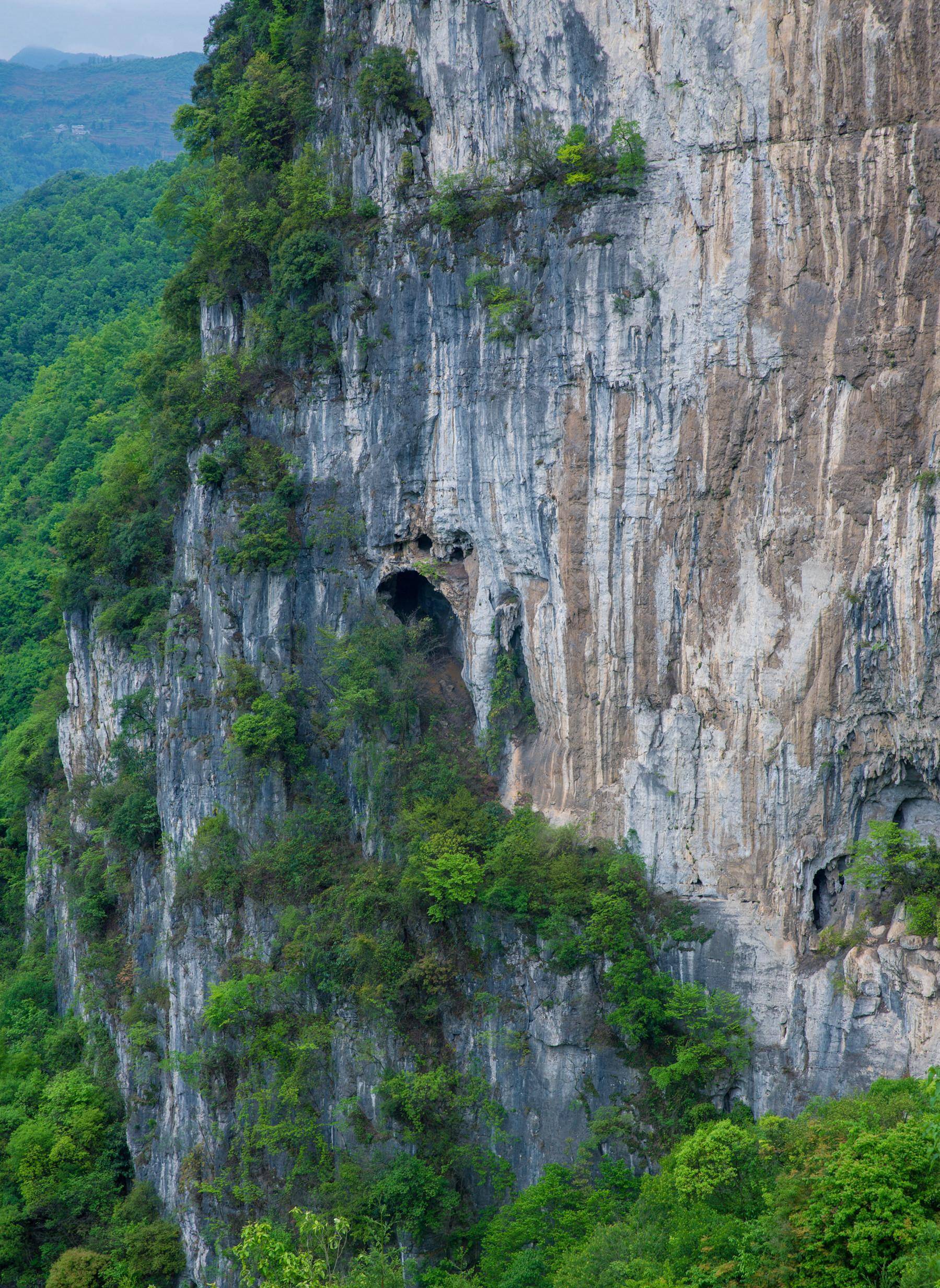 原创为守护567具棺材贵州大爷白天搬砖晚上住洞穴月薪只有三百