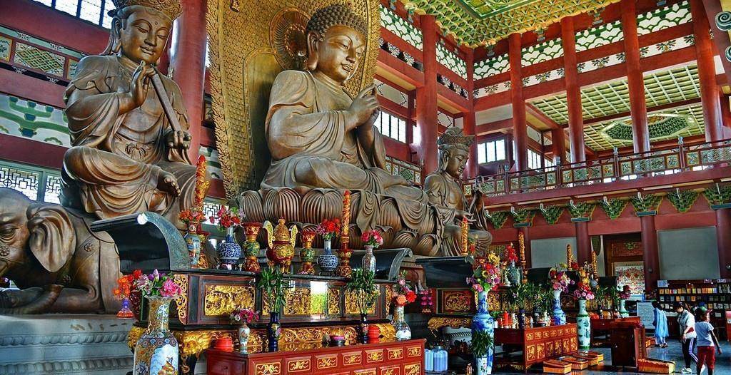 原创福建这座寺庙内有康熙抄写的佛经但镇寺之宝竟是一棵荔枝树