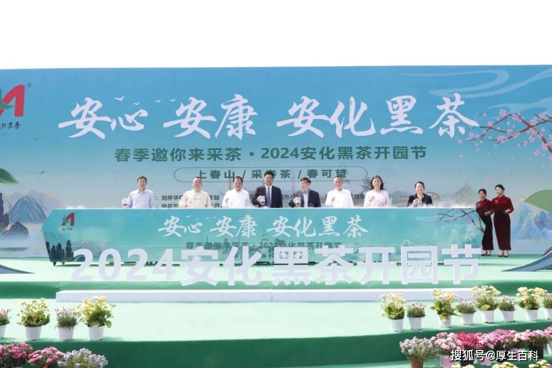 节是安化县一年一度的重要茶事活动,标志着36万亩茶园进入全面开采期