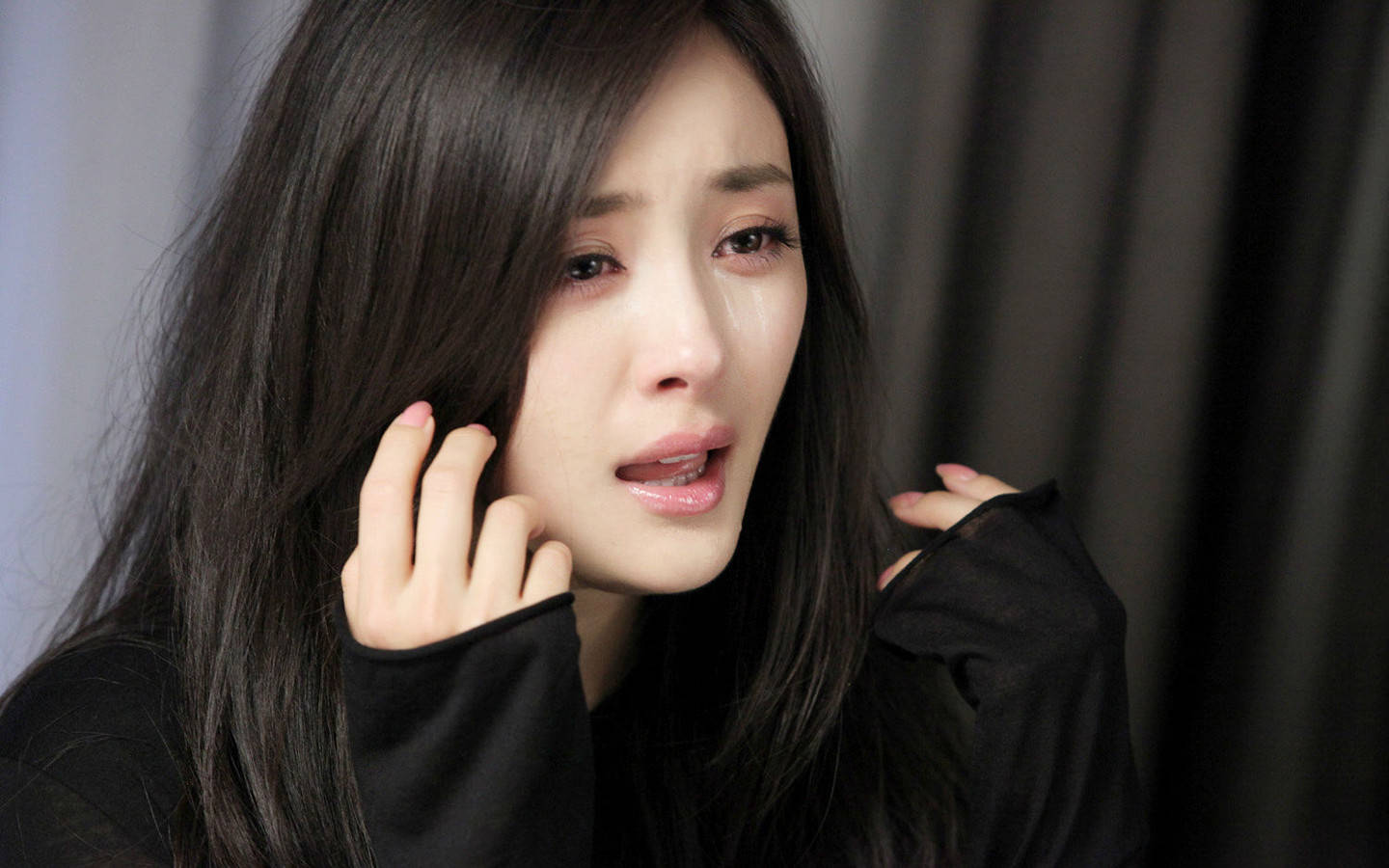 原创2024325娱乐爆料刘亦菲肖战杨紫杨幂白鹿王诗龄胡先煦张兰