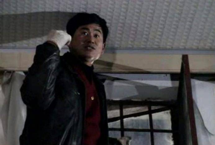 92年一武汉大学教授盗走69件珍宝因一辆军牌轿车最终落网