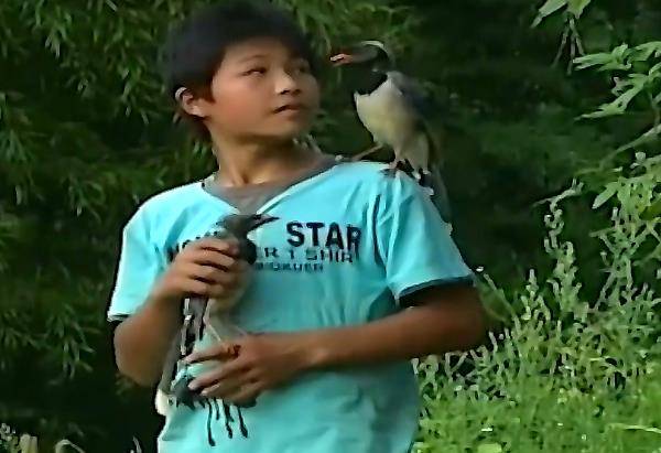 被称为"鸟神",不仅能指挥行动,而且还能和它们说话_吴永桃_小鸟_男孩