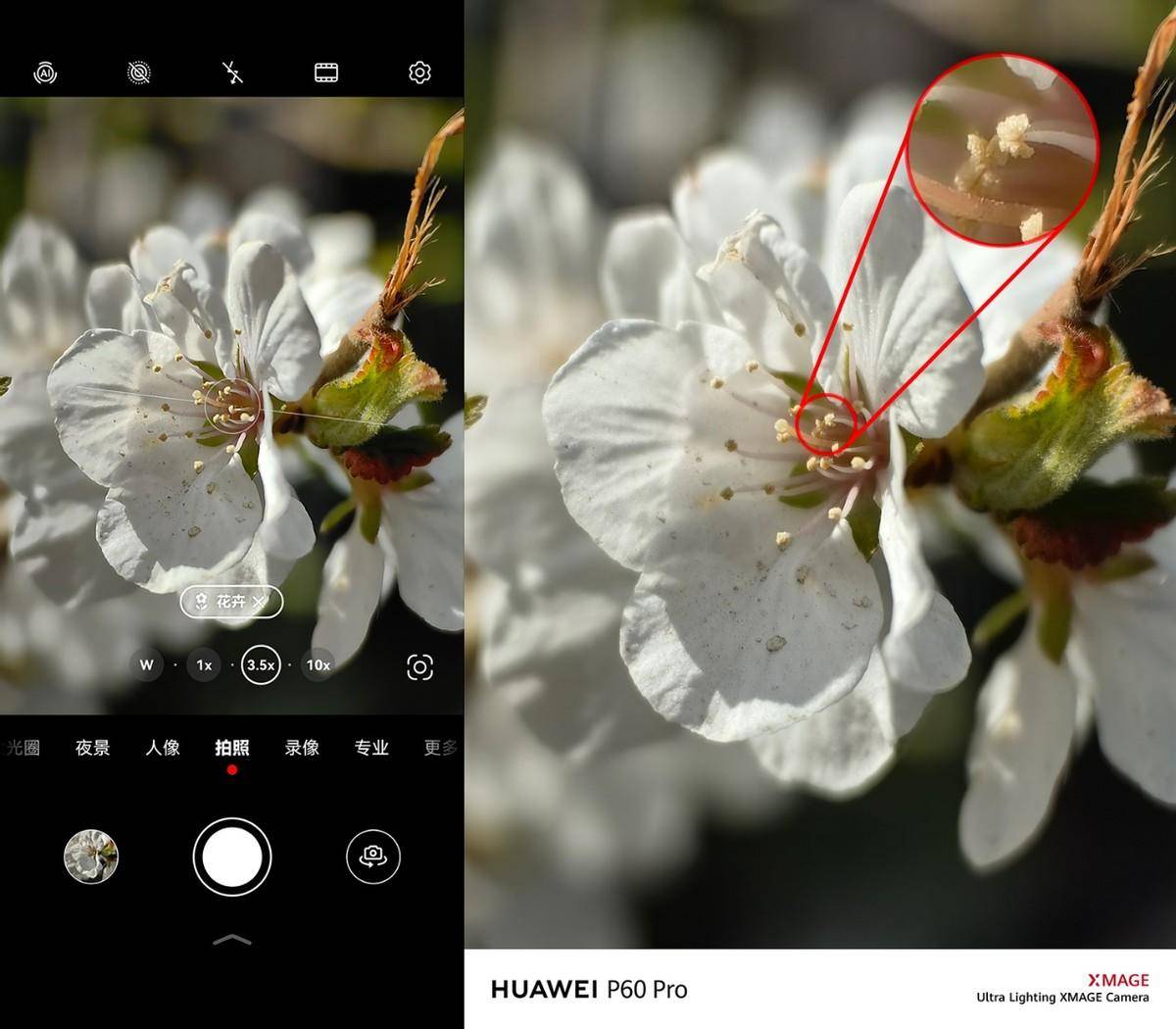 华为p60 pro用户如何看待华为p70?保持特色,稍微升级就是好手机_mate_
