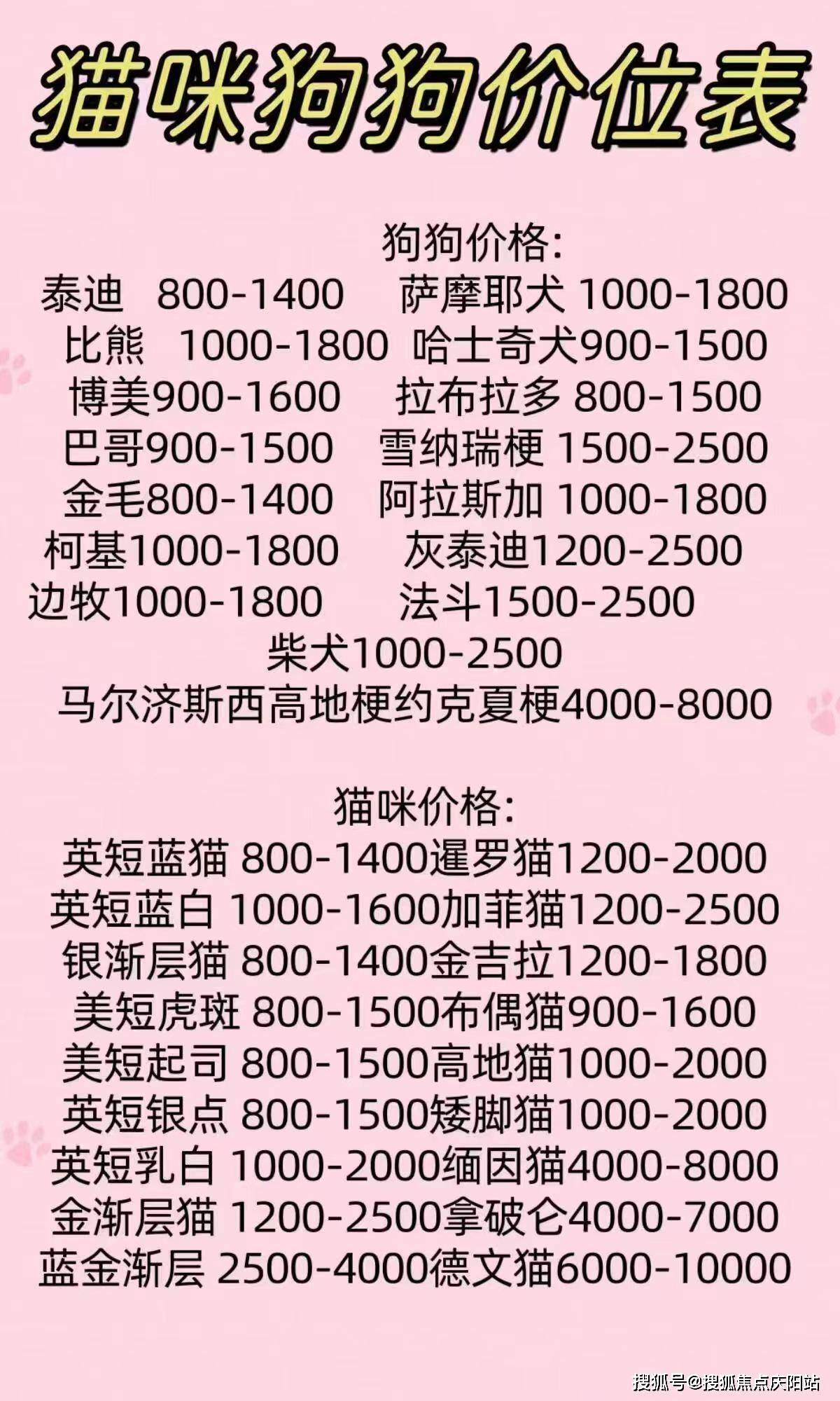 友善乖巧的安哥拉猫啦,还有优雅迷人的孟买猫啦等等,各种品种实在太多