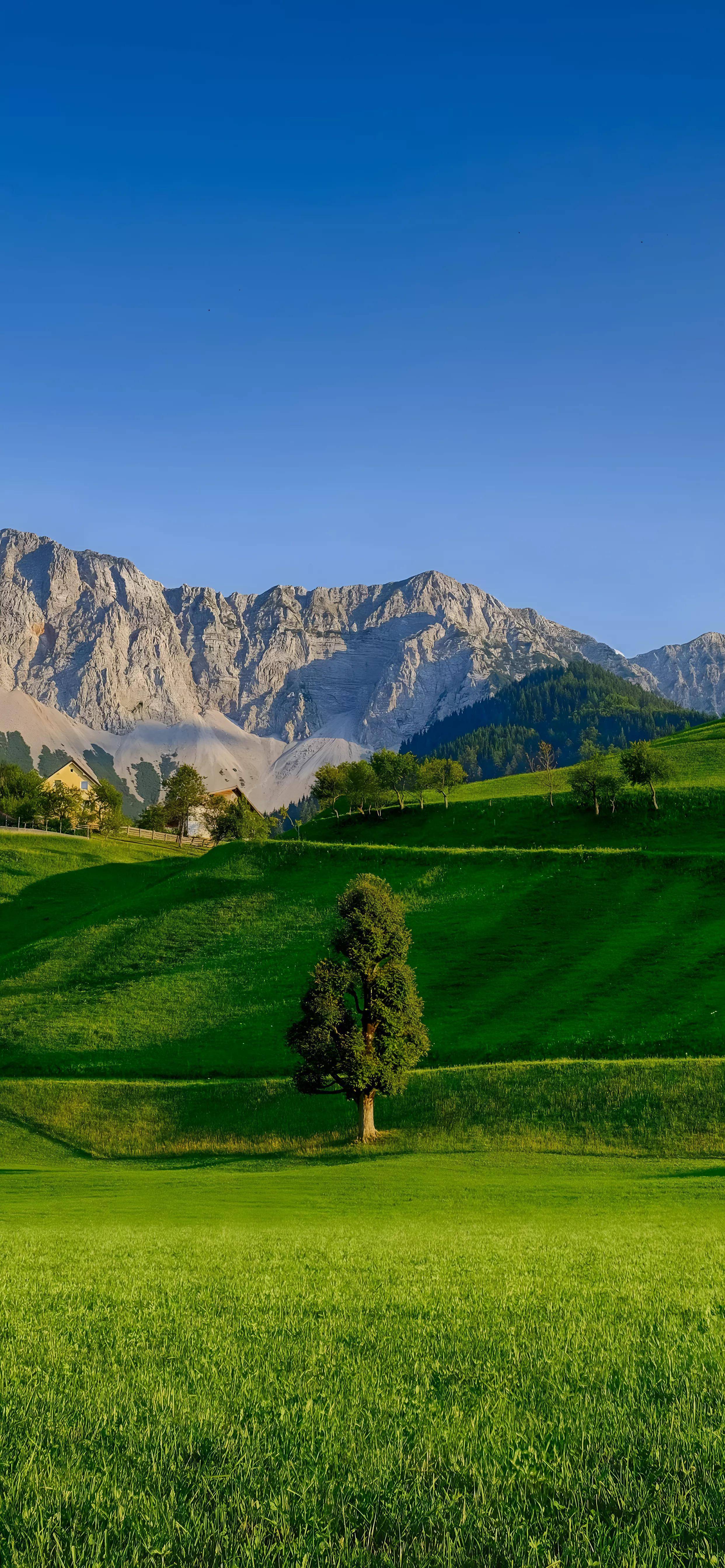 壁纸--天边云合深林霭,化作山前翠黛横