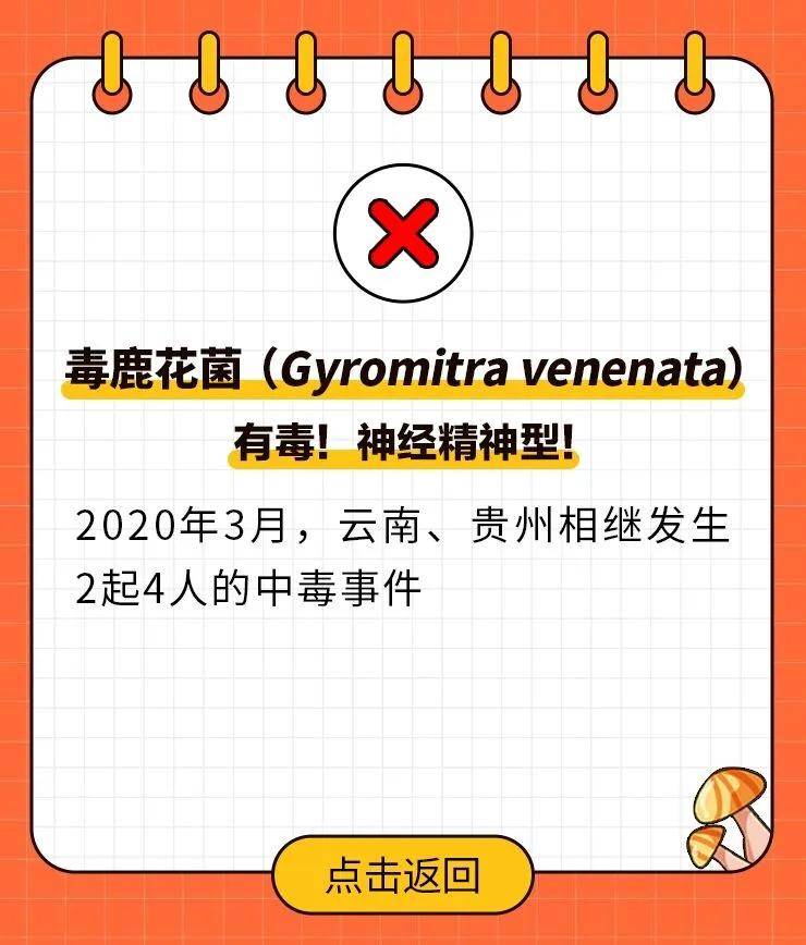 肯定有人要说:"他们中毒是不认识乱采,我只采自己认识的,绝对安全!