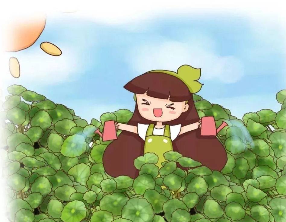 原创这10种花最喜水越浇越疯长这下不用担心烂根了