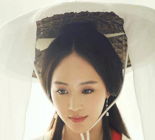 《军师联盟》中的柏夫人,历史上确有其人,儿子还一度称帝_司马懿_张