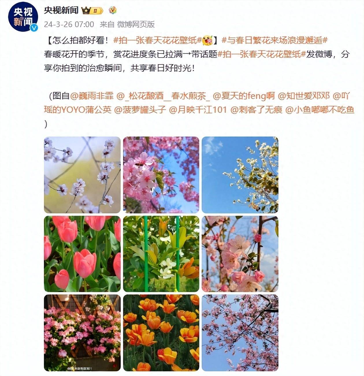 长焦各有亮点findx7ultra双潜望行业唯一四款超大杯实拍出炉