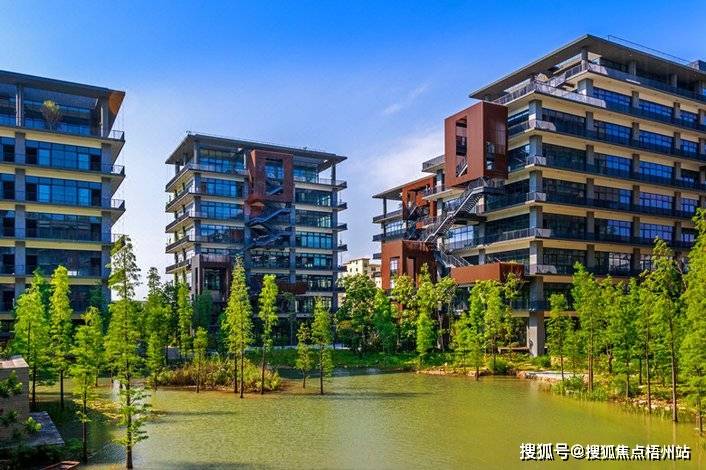 2024年深圳泰华梧桐岛科技创新园物业公司是哪家呀管理费多少呢