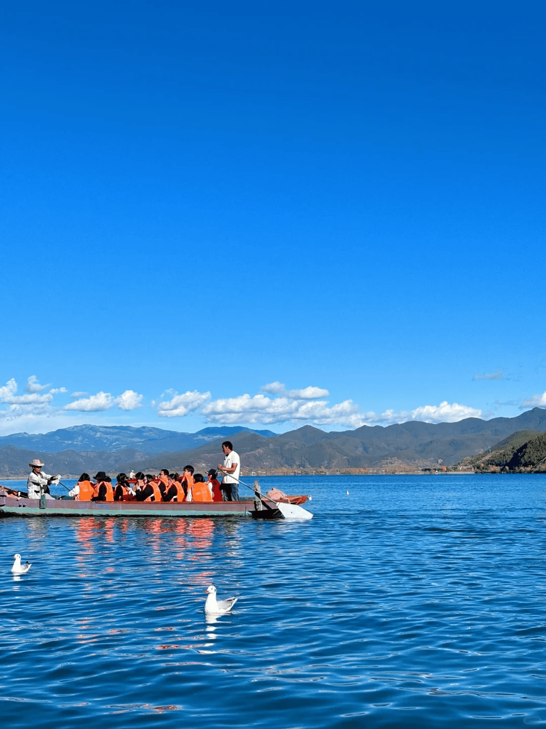 去洱海旅游要花多少钱_洱海旅游要多少钱_去洱海玩大概多少钱