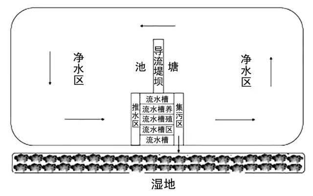 一文讲清楚跑道养鱼到底是什么