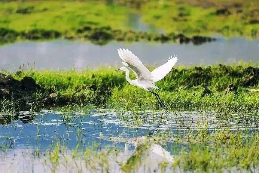 怀宁61壹号院低密亲湖合院择址三鸦寺湖西岸, 约300平方公里的三鸦