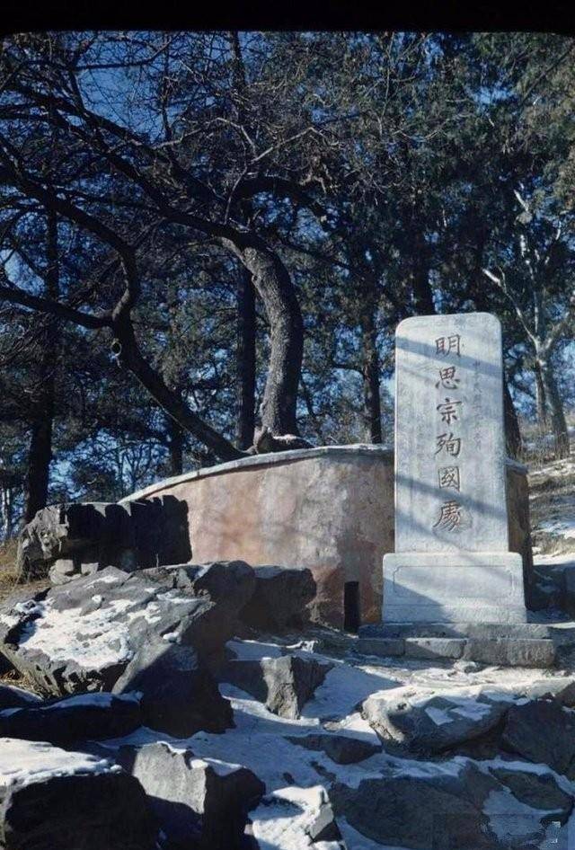 原创大明皇帝崇祯自缢处70年代破除迷信那棵老歪脖子树被连根拔起