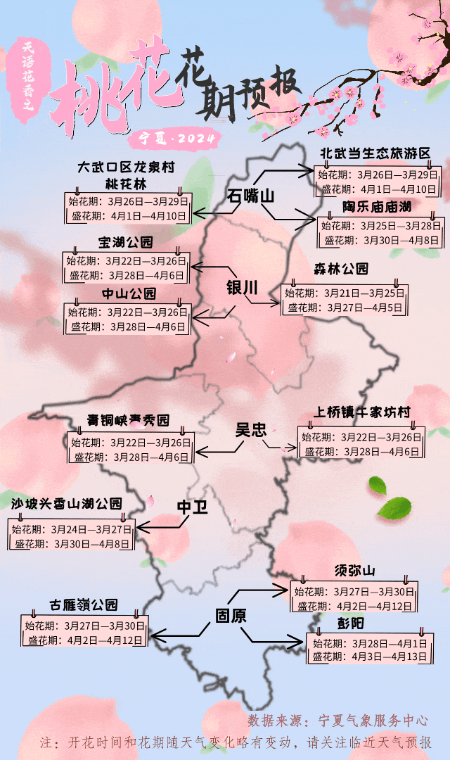 天气资讯宁夏杏花花期预报来了附最佳赏花地
