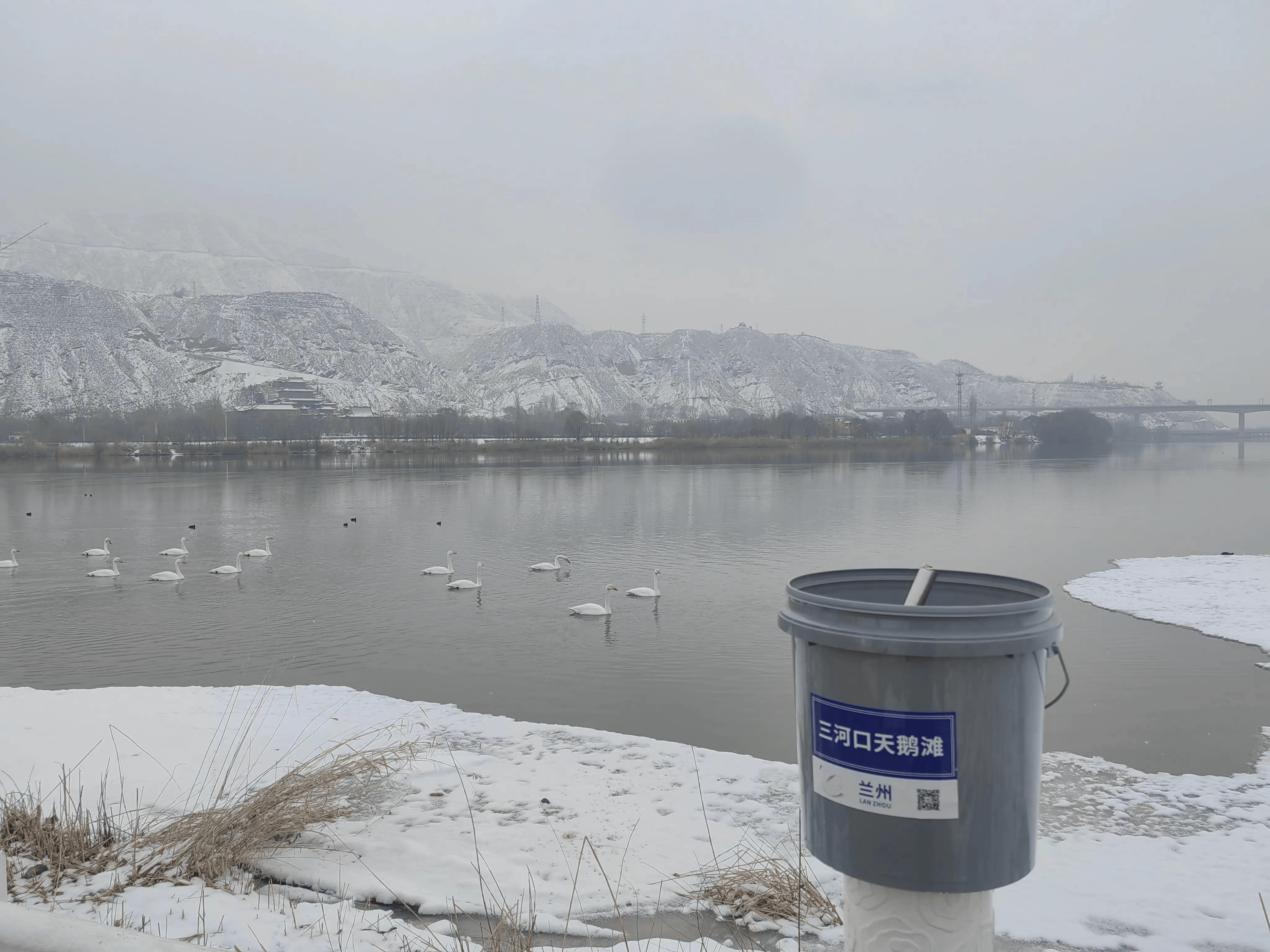 原创关于兰州市西固区达川镇三河口天鹅滩基础设施建设问题已回复