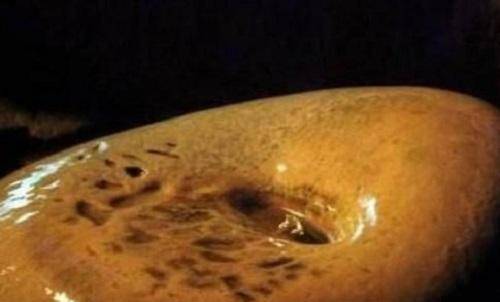 原创人类最残酷死刑犯人被待如皇帝但大脑被滴成浆糊才会死去