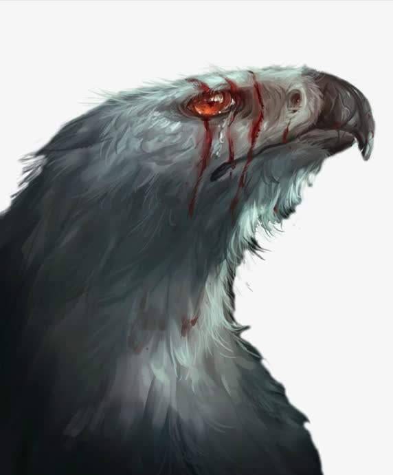 原创2012年东北一村民被金雕追杀民警调查后为何逮捕村民