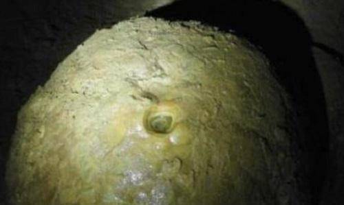 原创人类最残酷死刑犯人被待如皇帝但大脑被滴成浆糊才会死去