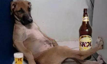 原创最爱玩的皇帝爱狗爱女人还玩出了一个盛世