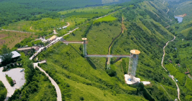 提前开启赏春模式!与其拥抱诗和远方,不如就近捕捉春意!_野菜_永寿县_