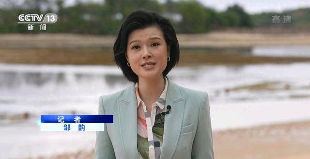 主持人邹韵获全国妇联表彰上了新闻联播接受央视记者专访