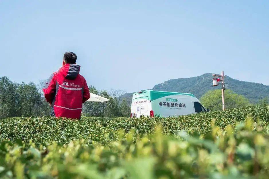 明前茶上市京东物流先行