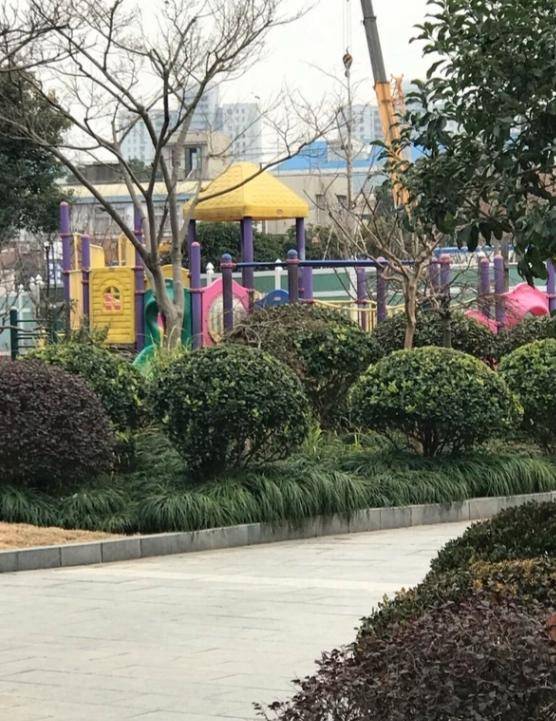 原创上海浦东长青公园自然风光无限好