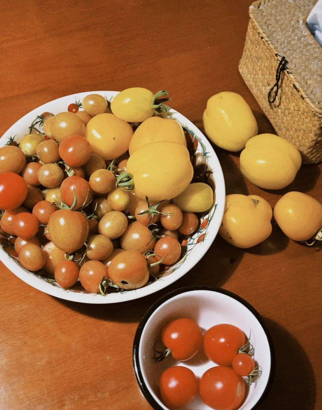 小番茄_杏鲍菇_沙拉