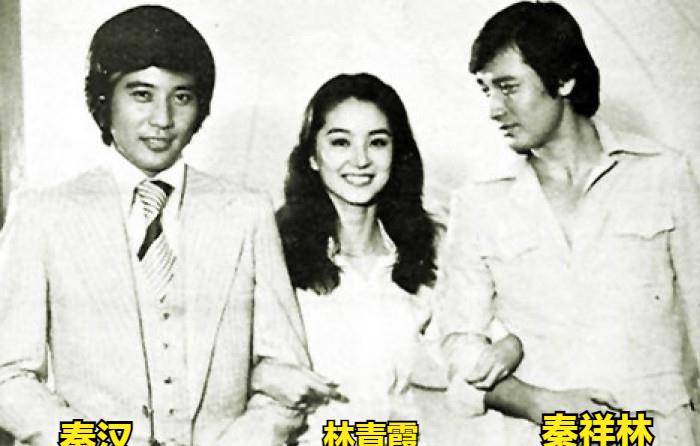 原创邵乔茵千金小姐下嫁秦汉因林青霞加入分手单身数年活成女王