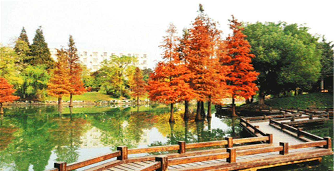 安徽一座美丽大学,实力强劲不亚清华北大,环境优美仿若花园_合肥市