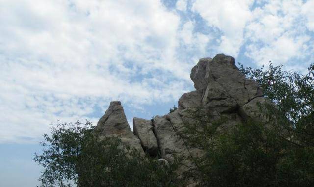 寿光的静山:我努力钻营了25亿年,却被你们这种新生的物种看扁_泰沂_渤