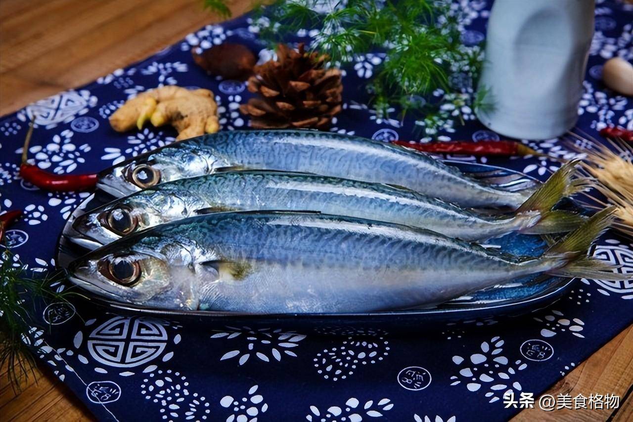 原创公认最好吃的6种野生海鱼目前无法人工养殖你吃过几种呢