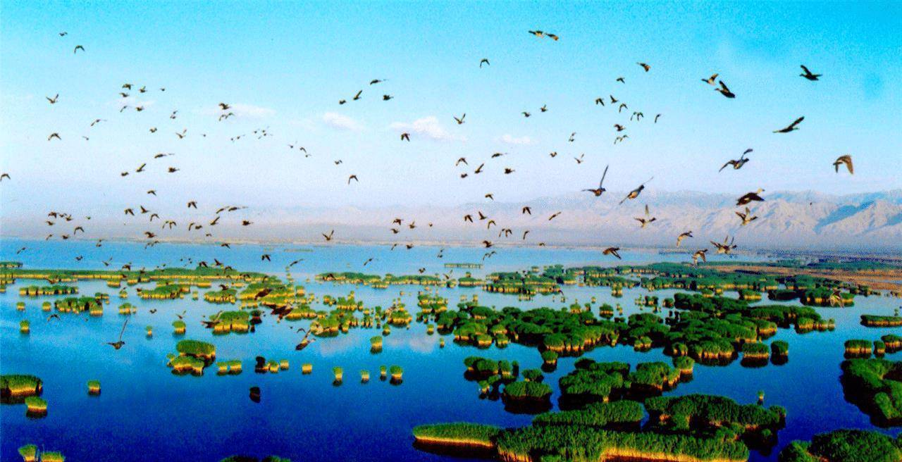 盼了11年,总算等来了高铁,这座被遗忘的异域老城真美_银川_宁夏_西北