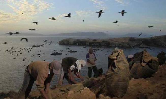 南美三国持续4年的"鸟粪战争",归根结底是三国的资源争夺战_秘鲁_硝石