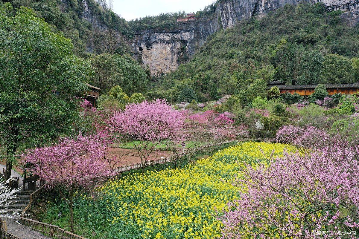 南阳桃花源图片