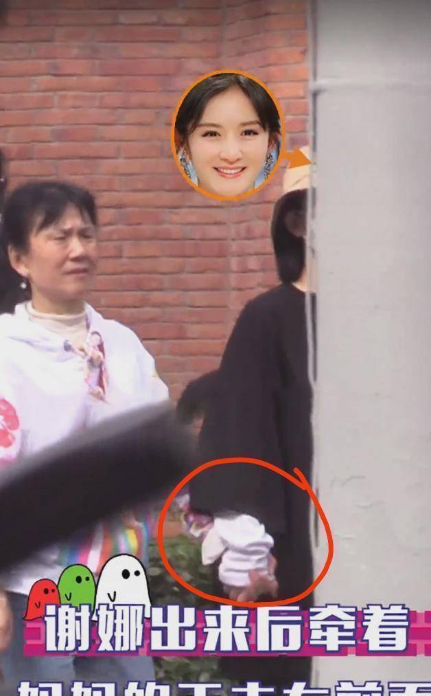 今天在上海又意外拍摄到谢娜怀二胎照,实在是让粉丝们感到惊讶又开心