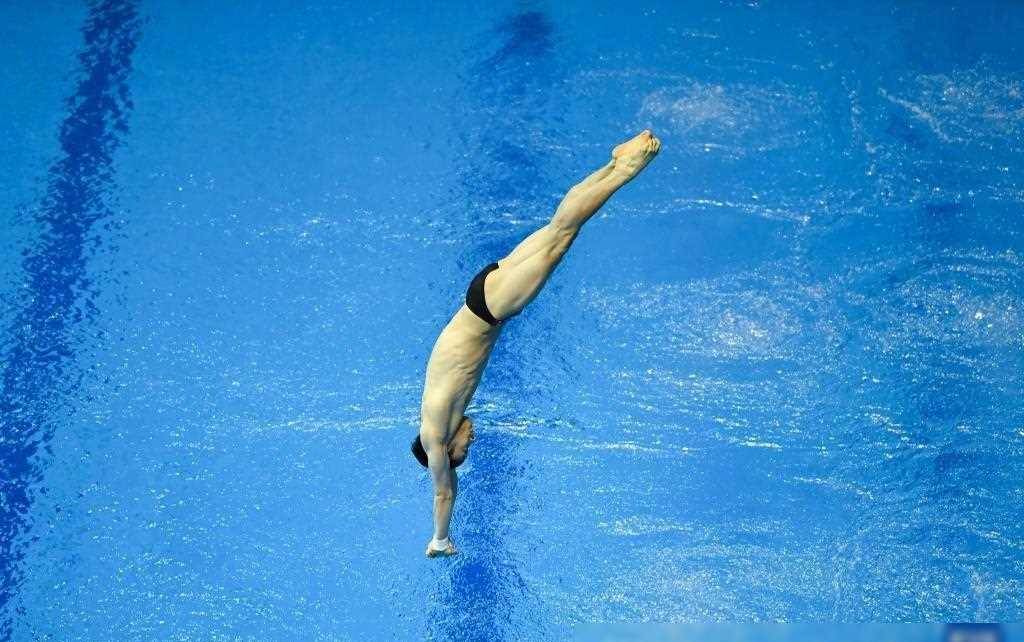 跳水世界杯柏林站练俊杰男子10米台夺冠