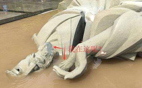 原创还记得98年抗洪的流泪将军吗去世一年多了儿子做到了副师职